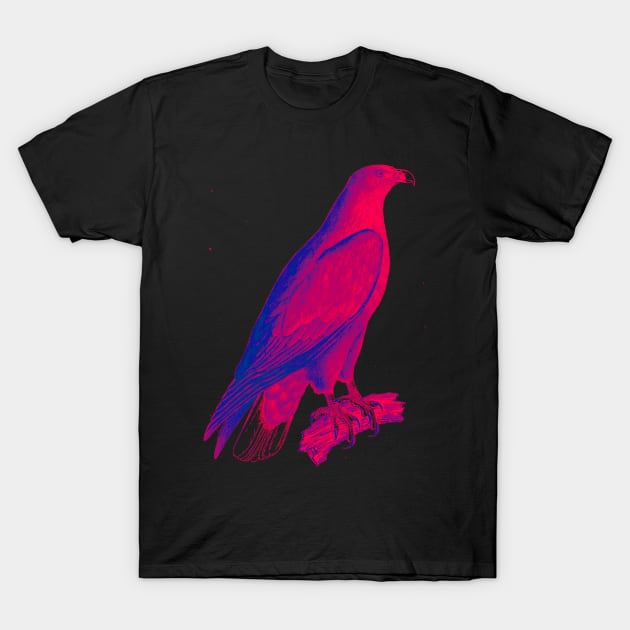 hawk,bald eagle,falcon,golden eagle,birdie,bird,bird of prey,raptor,aquila,vulture,heron,golf game,golf,eaglet,condor,haliaeetus,harpy eagle,beak,eagle putt,bird of jove,accipitridae,score,pigeon,owl,osprey T-Shirt by vabontchi